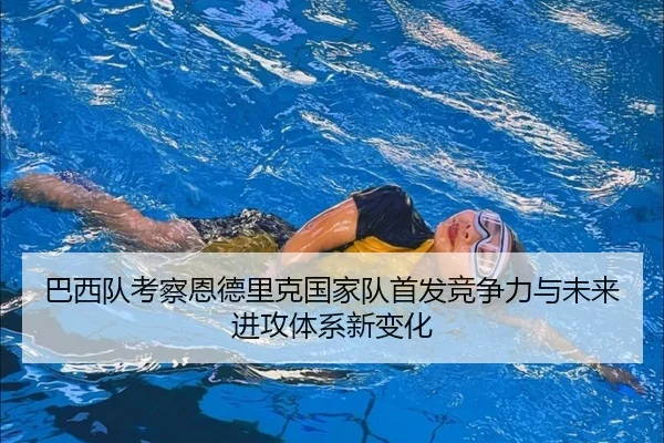 ba-xi-dui-kao-cha-en-de-li-ke-guo-jia-dui-shou-fa-jing-zheng-li-yu-wei-lai-jin-gong-ti-xi-xin-bian-hua-2-586.jpg
