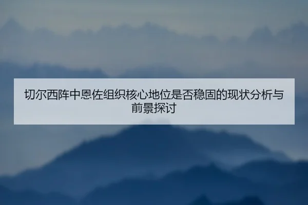 切尔西阵中恩佐组织核心地位是否稳固的现状分析与前景探讨
